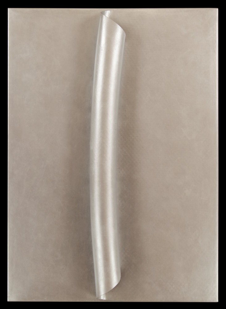 antonio baccarin: Senza Titolo 2010
