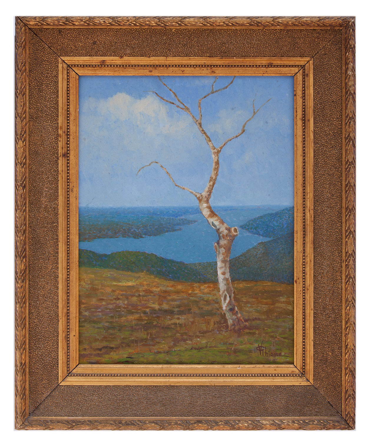 vincenzo ghione: L'albero spoglio