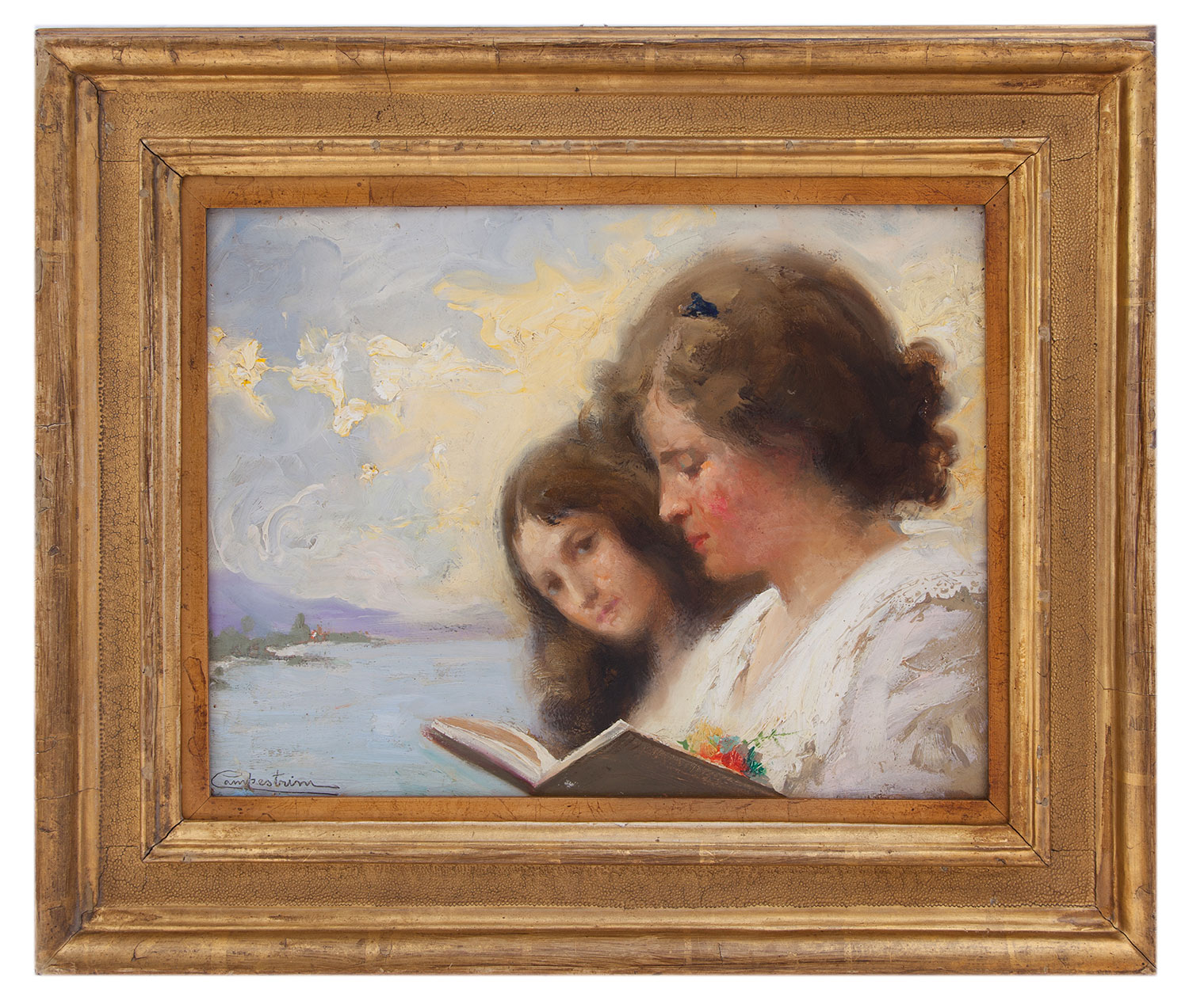 alcide davide campestrini: La lettura