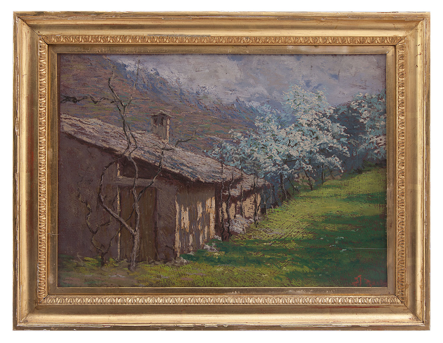 firma indecifrata: Fioriture di primavera