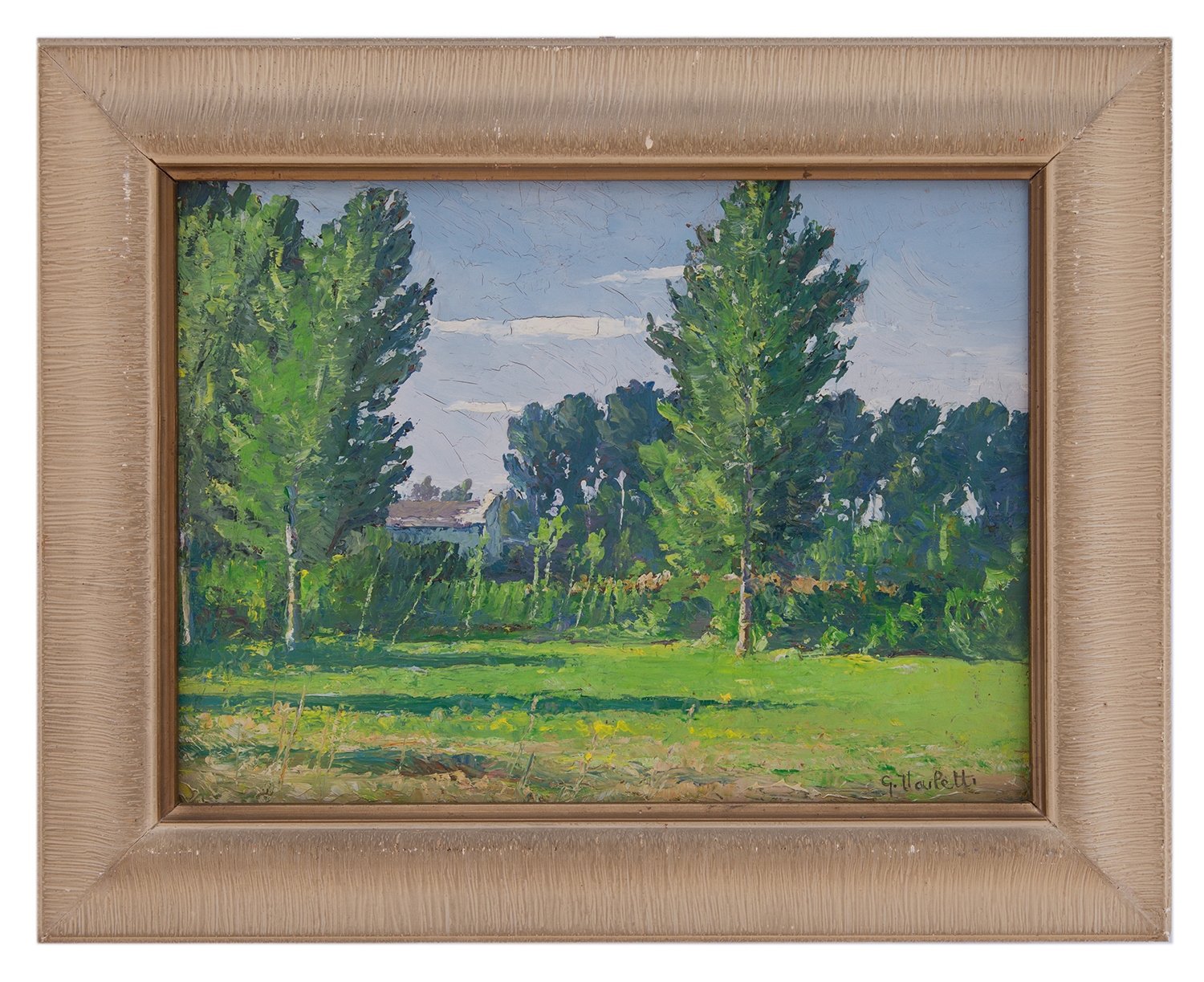 giuseppe vailetti: Campagna lodigiana