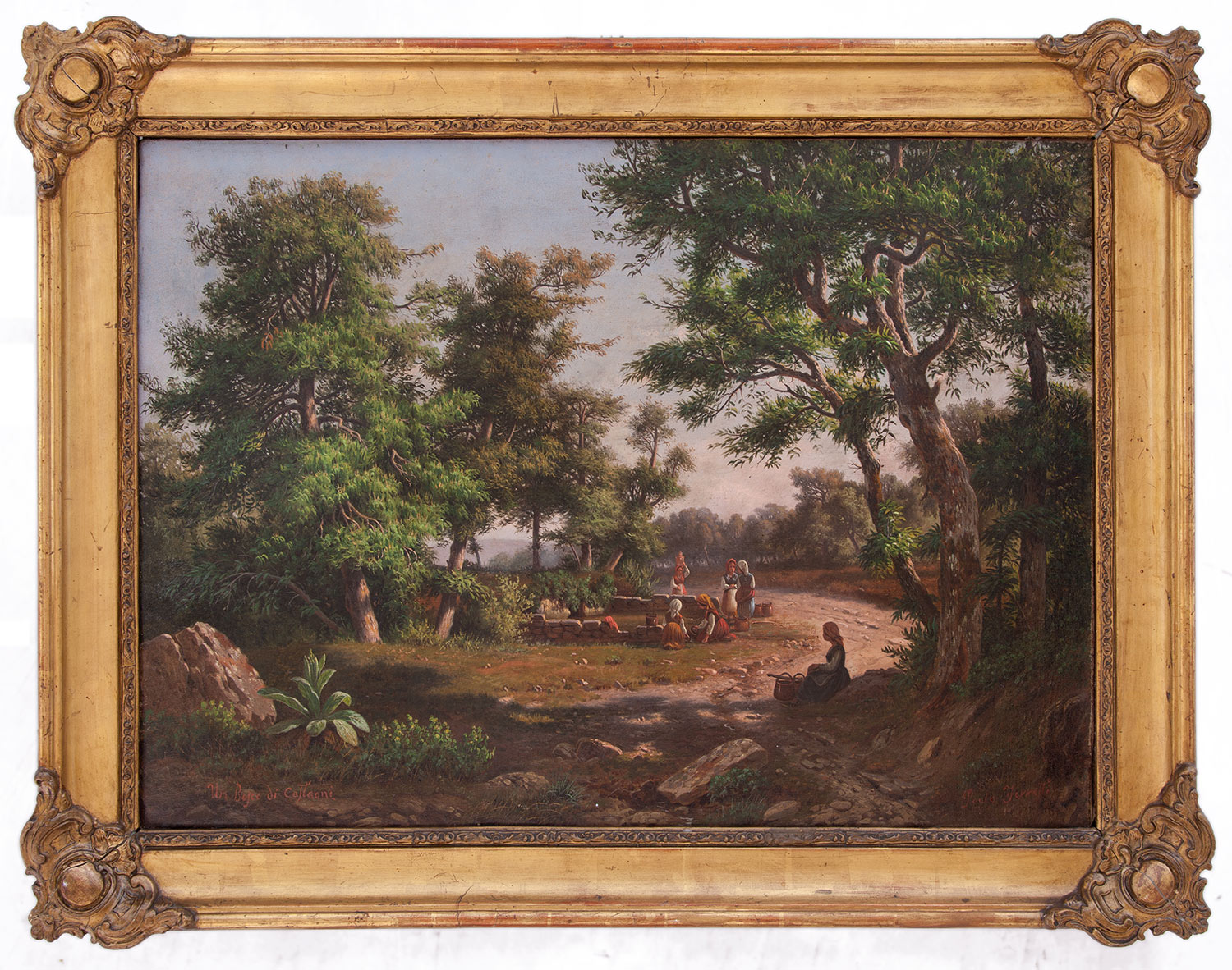 paolo ferretti: Il bosco di castagni
