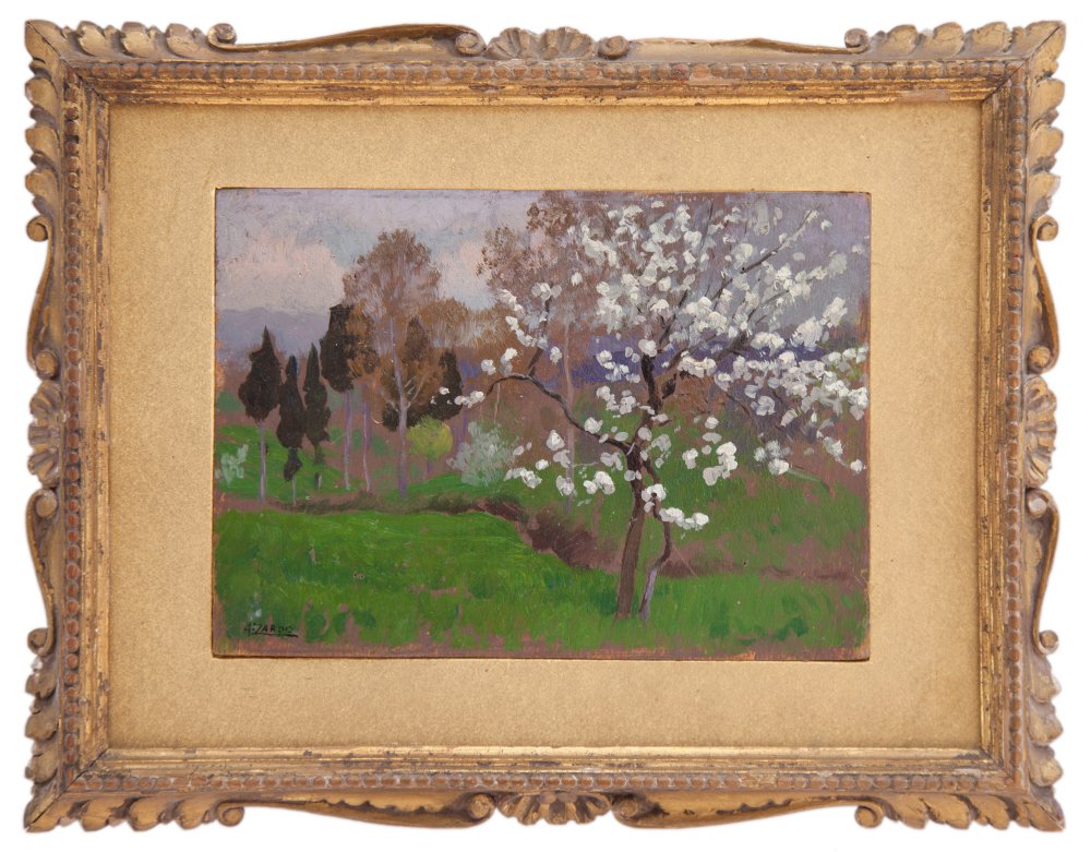 alberto zardo: Primavera
