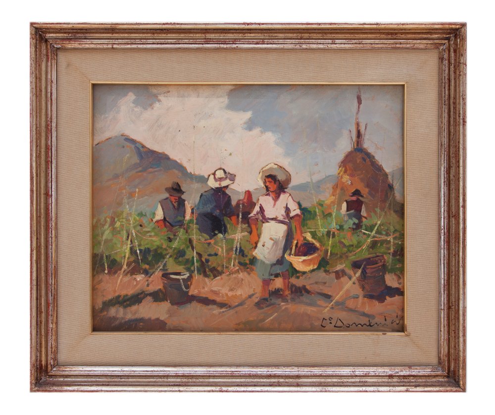 carlo domenici: Vendemmia