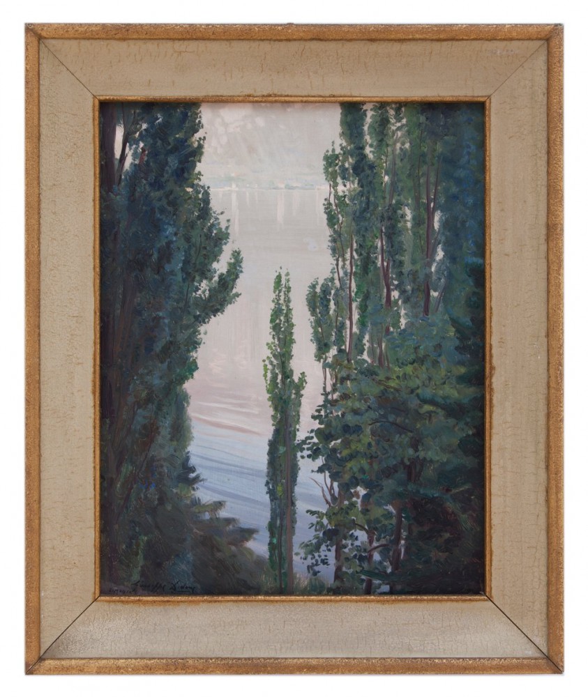 giuseppe didone: Limonta, Oliveto Lario