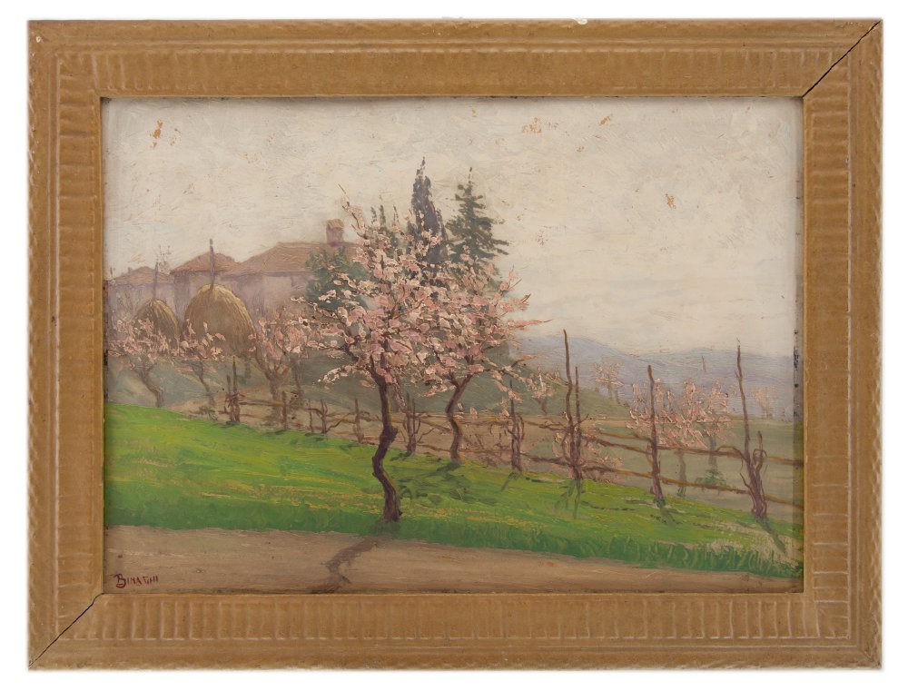 luigi binaghi: Fiori di pesco