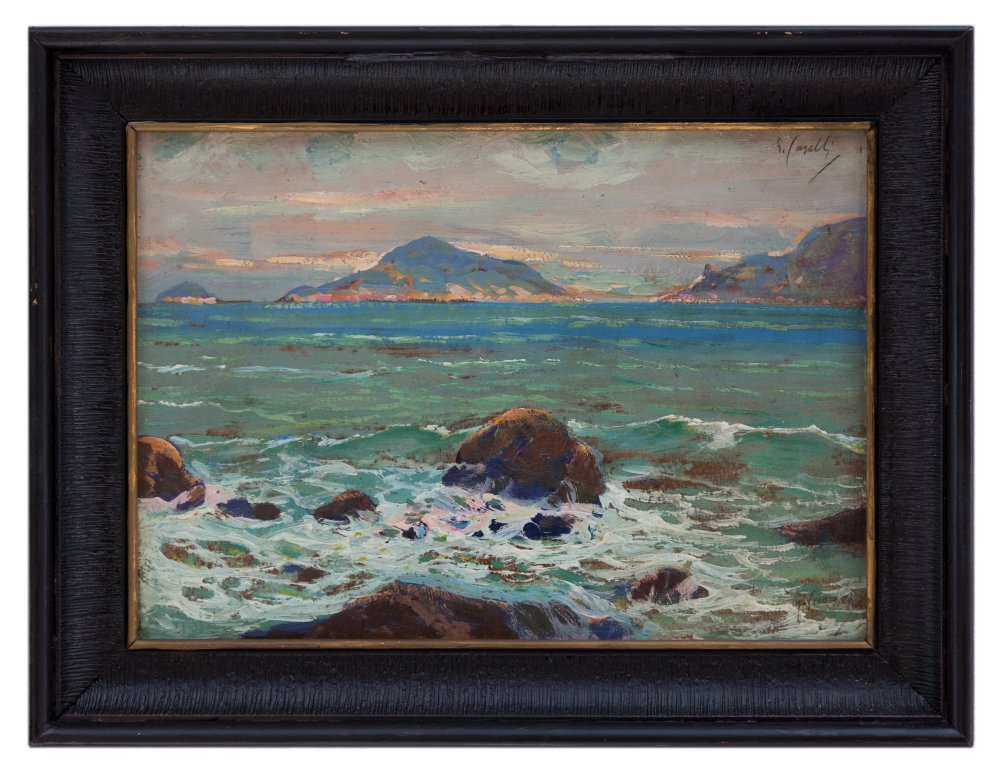 giuseppe caselli: Isola Palmaria e isola del Tino (La Spezia)