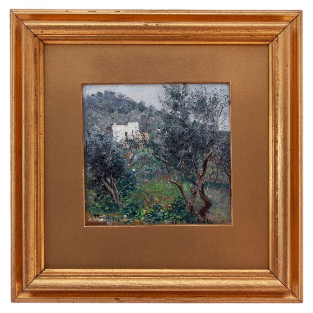 carlo perindani: Capri