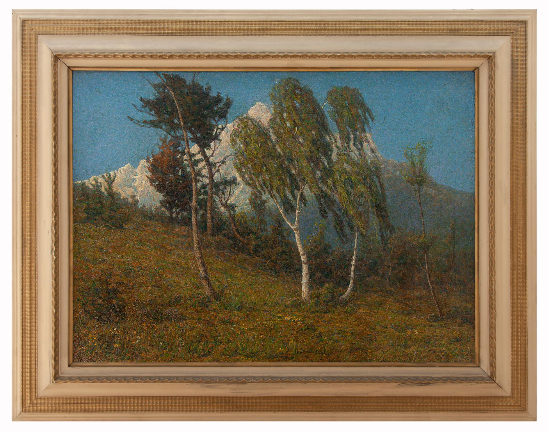 aldo voltolin: Paesaggio montano