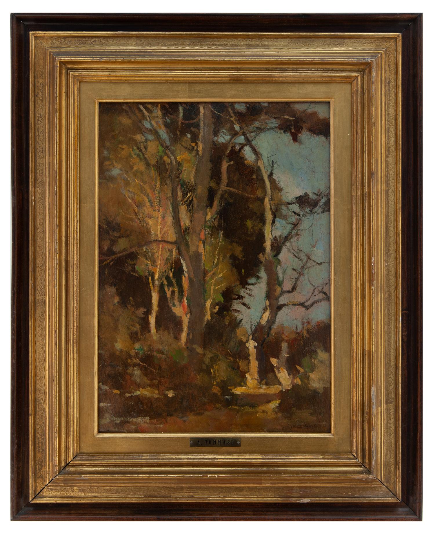 ludovico tommasi: Colori d'autunno