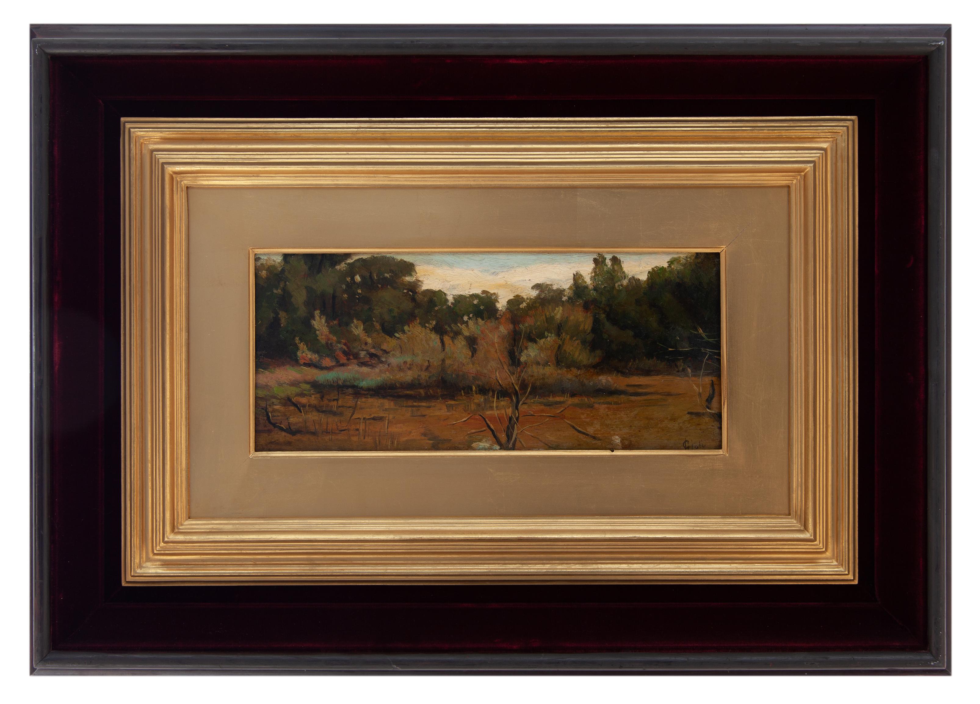 luigi gioli: Paesaggio