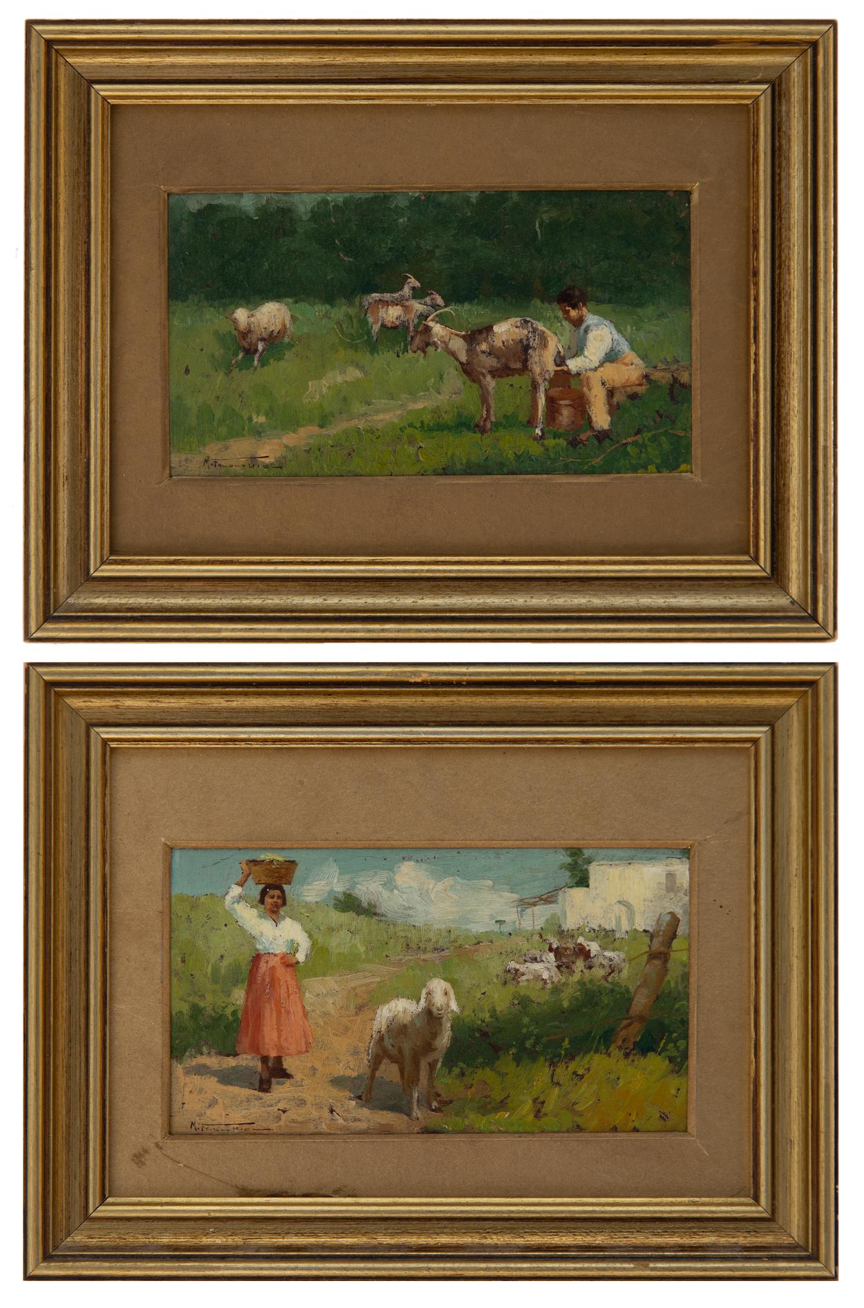 mario fenocchio: Vita di campagna