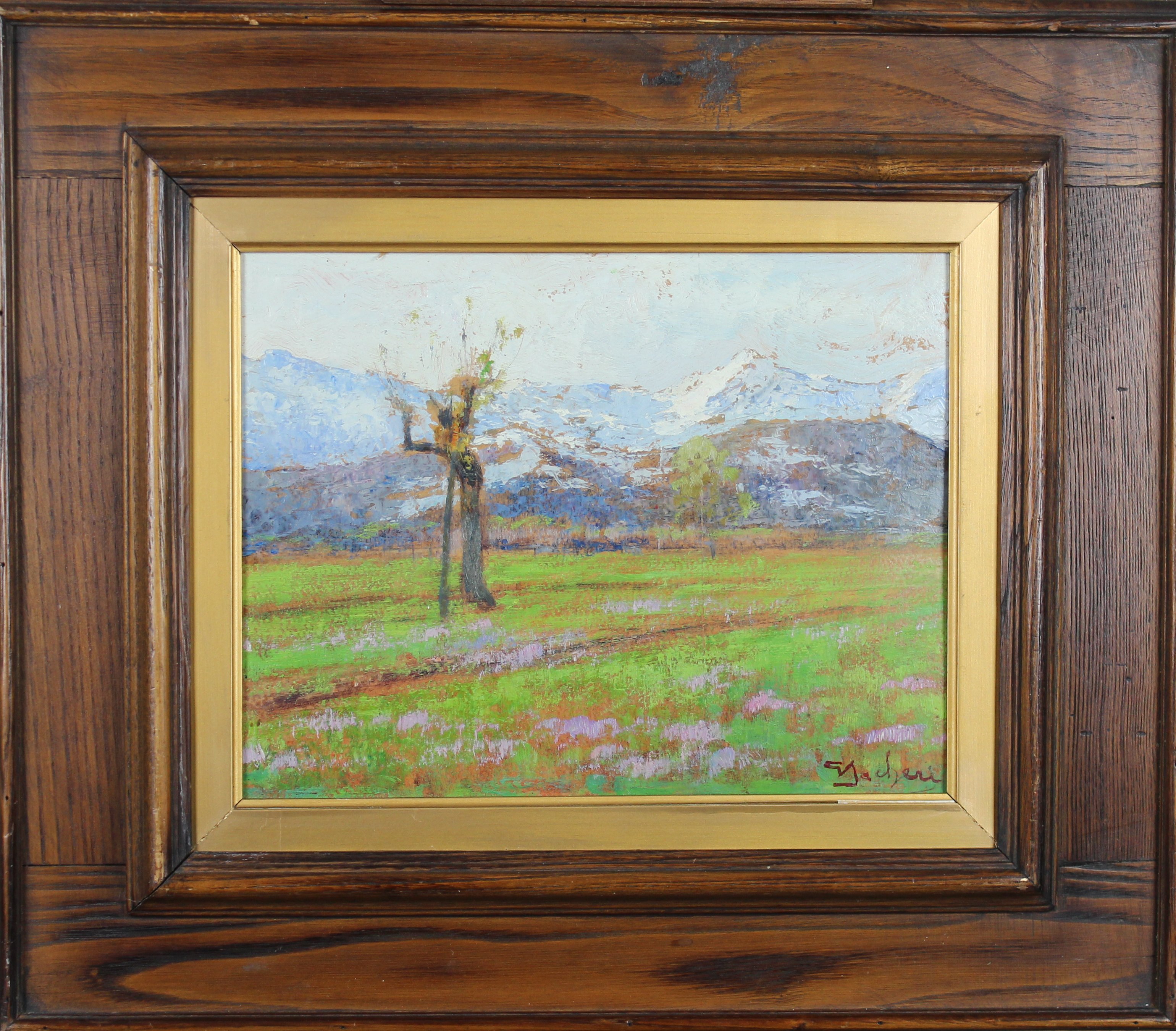 giuseppe sacheri: Prealpi piemontesi 